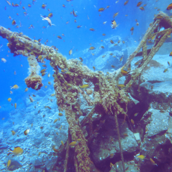 Azores submarinismo y senderismo