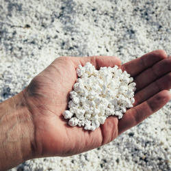 Playa popcorn beach Fuerteventura