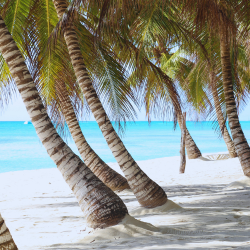 Isla Saona en Punta Cana